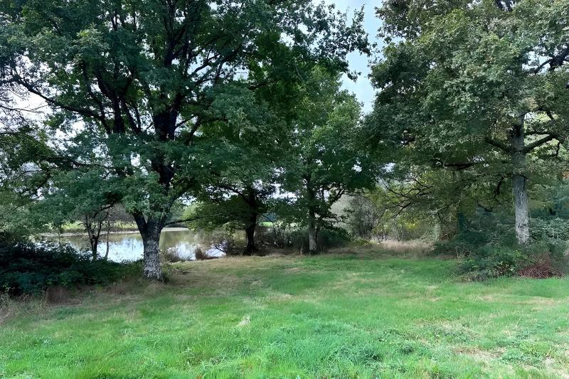 Propriété - 1 pièce