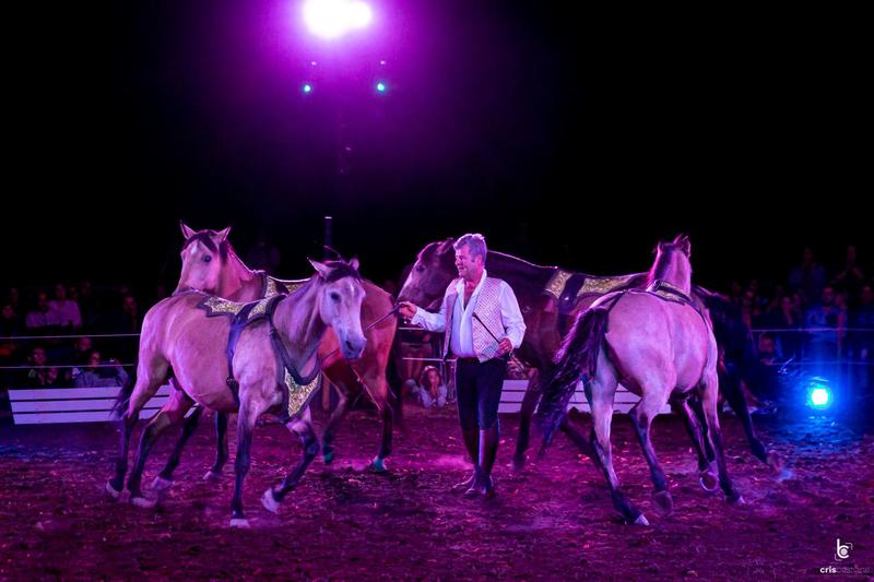 Spectacles équestres