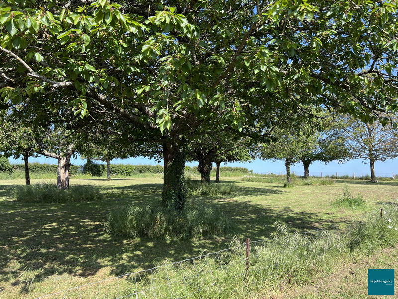 Maison - 281 m² - 8 pièces