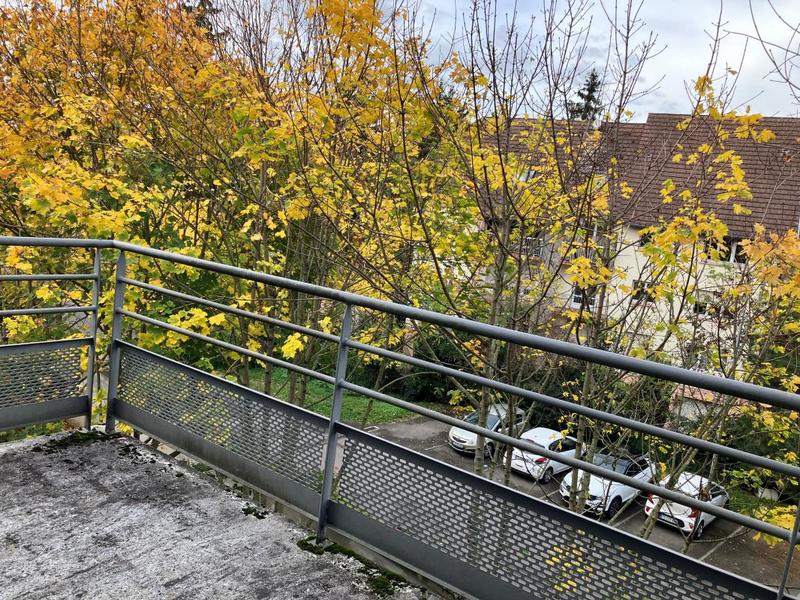 Appartement - 60 m² - 2 pièces