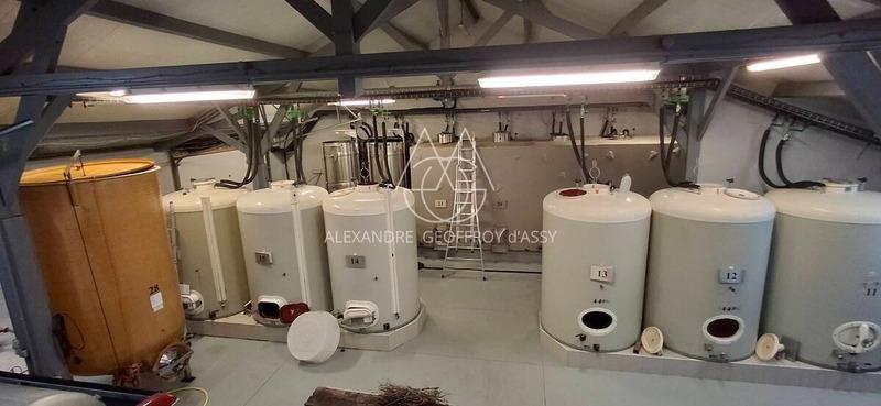 Propriété - 650 m² - 8 pièces