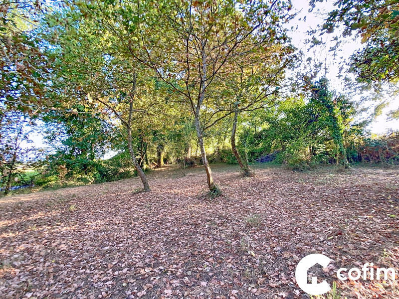 Maison ancienne - 50 m² - 3 pièces