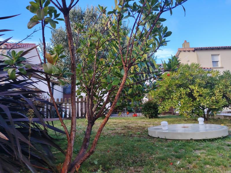 Maison - 65 m² - 2 pièces