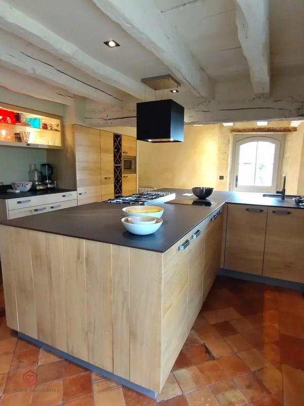 Maison ancienne - 530 m² - 12 pièces