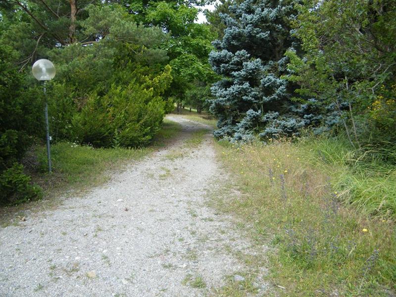 Terrain - 60 323 m²