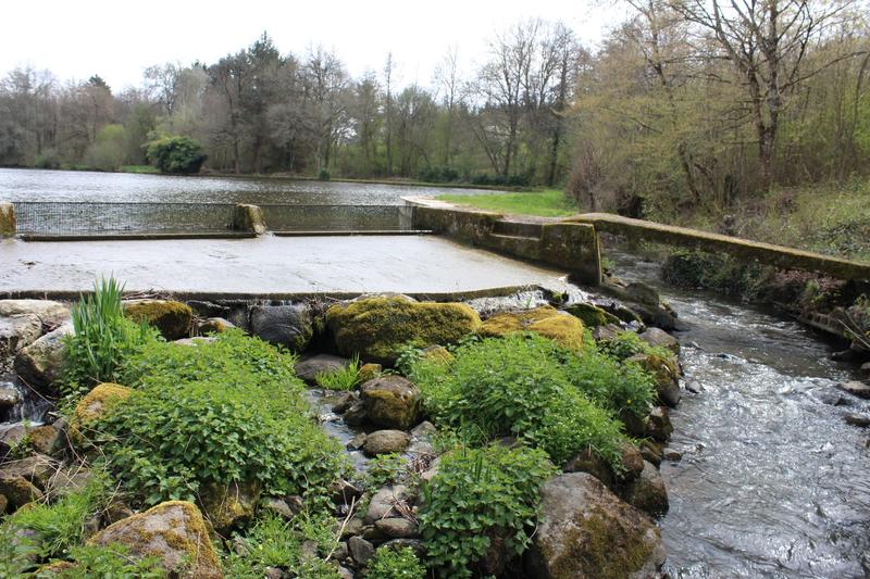 Propriété - 165 m² - 6 pièces