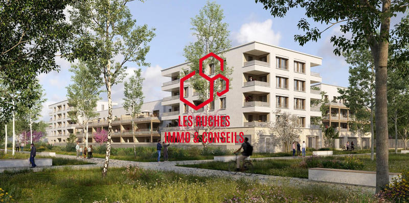 Appartement - 65 m² - 3 pièces