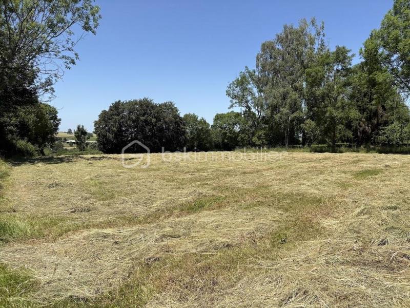 Corps de ferme - 290 m² - 14 pièces