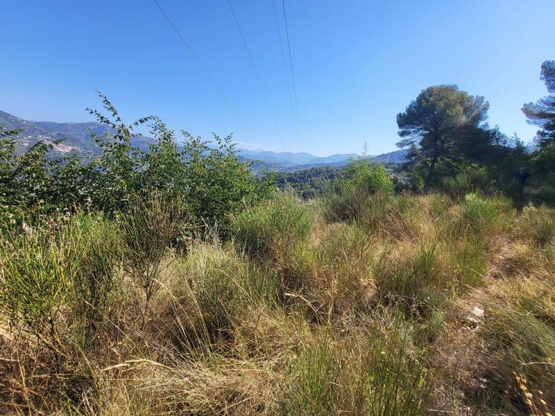 Terrain - 16 415 m²