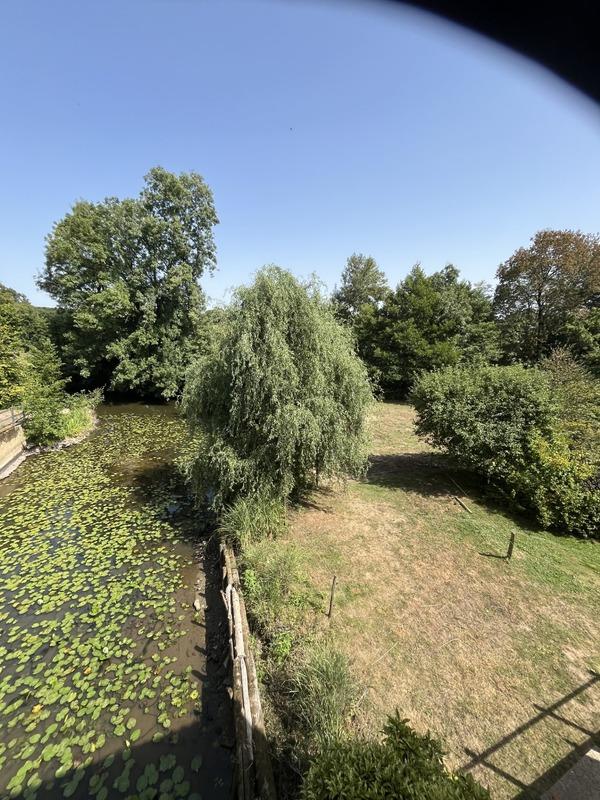 Moulin - 261 m² - 15 pièces