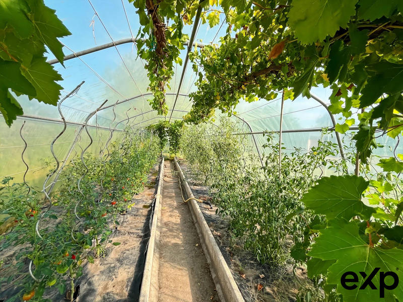 Appartement - 110 m² - 7 pièces