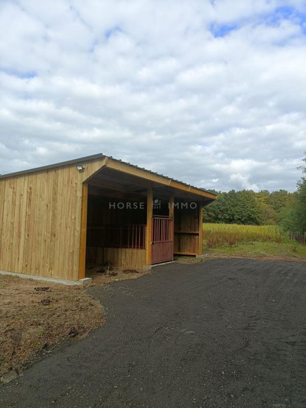 Gîte - 191 m² - 7 pièces