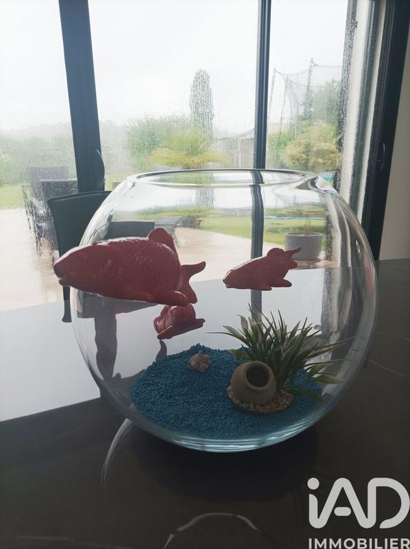 Maison de maîtres - 230 m² - 7 pièces