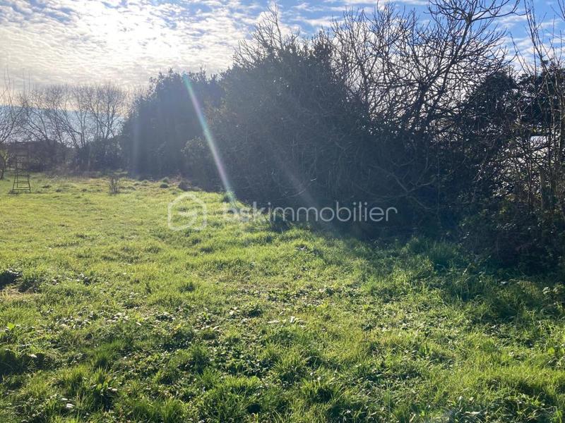 Maison en pierre - 64 m² - 3 pièces