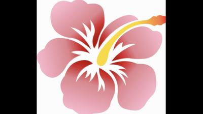 Mass Source Bien être