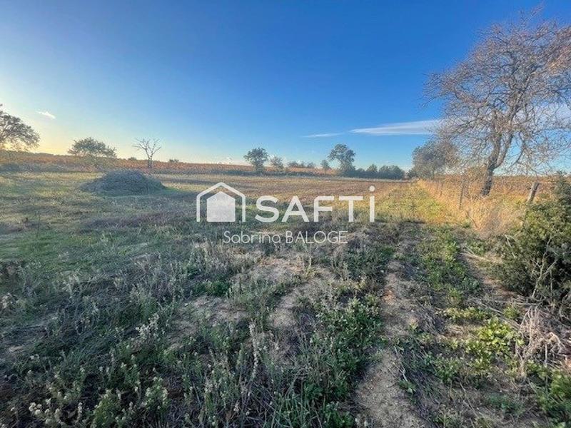 Terrain agricole - 5 170 m²