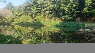 Terrain - 21 498 m²