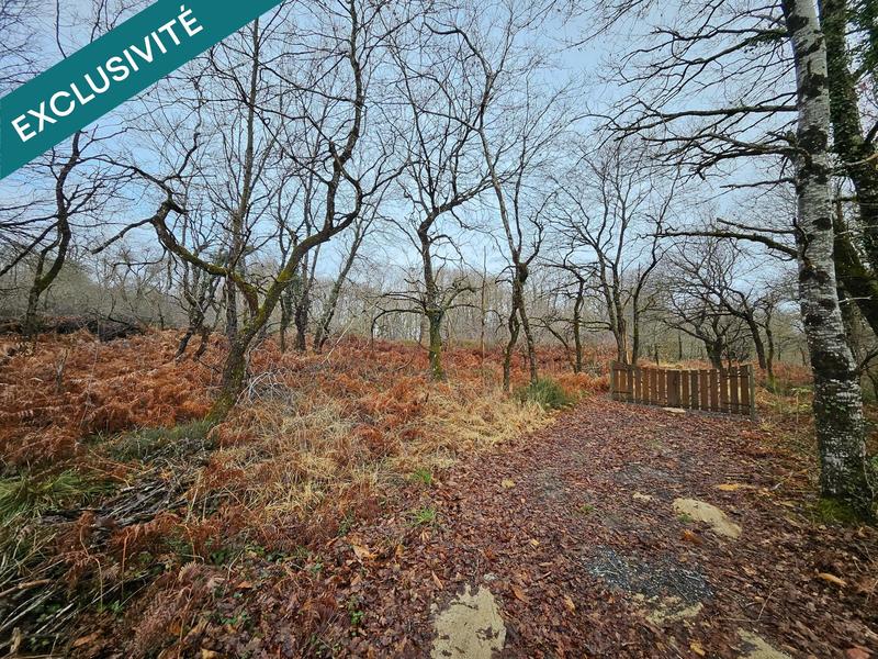 Terrain agricole - 9 570 m²