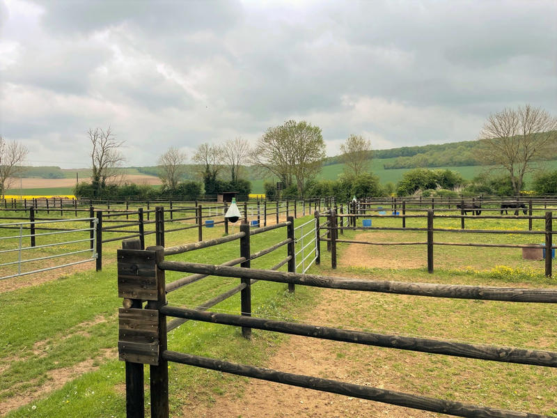 Maison - 330 m² - 10 pièces