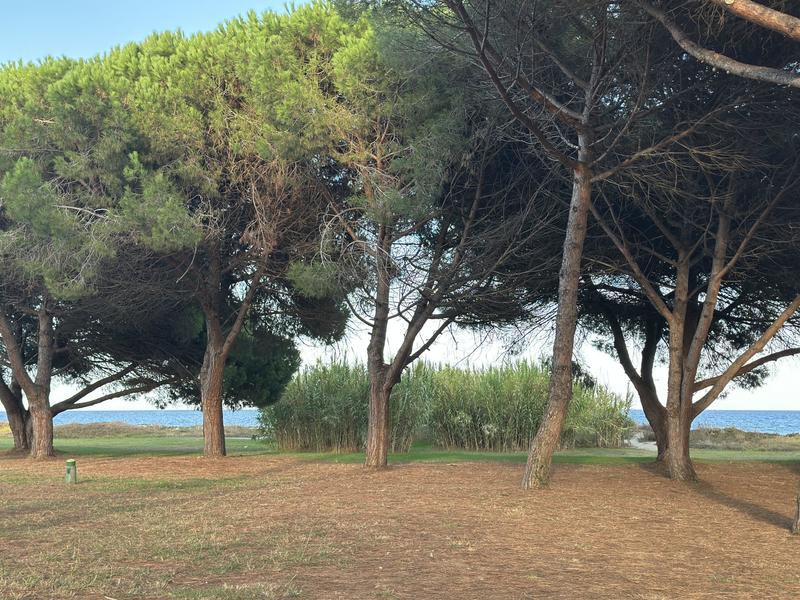 Appartement - 35 m² - 3 pièces