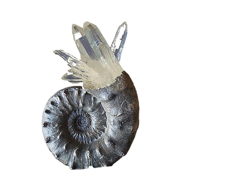 Salon des Minéraux, Bijoux et Fossiles de salouel