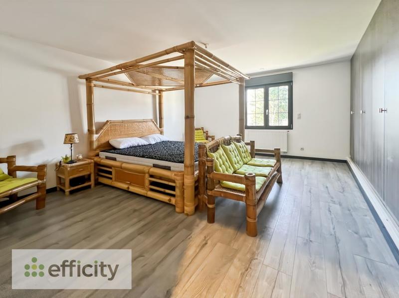 Maison en pierre - 380 m² - 8 pièces