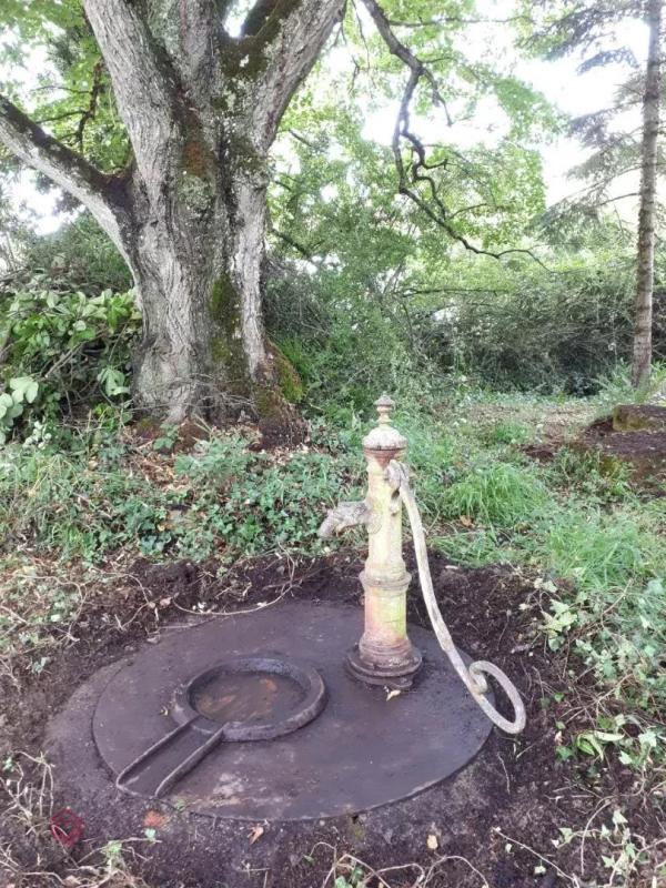 Appartement - 135 m² - 7 pièces