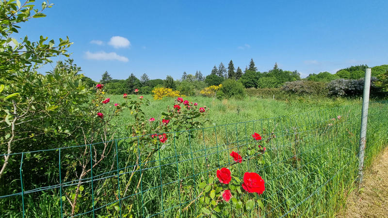 Maison - 190 m² - 5 pièces