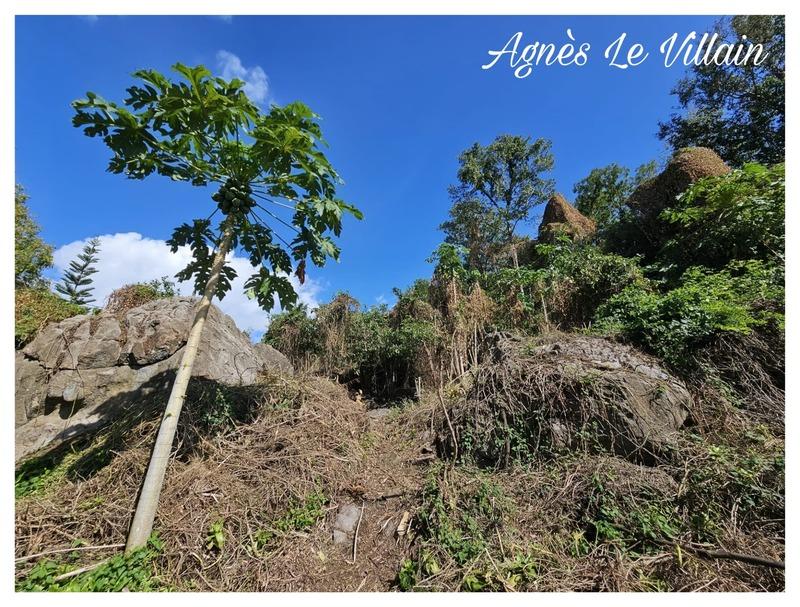 Terrain constructible - 1 041 m²