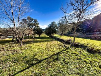 Terrain constructible - 1 412 m²