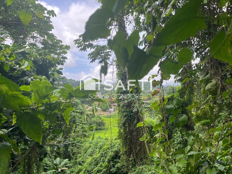 Villa - 350 m² - 12 pièces