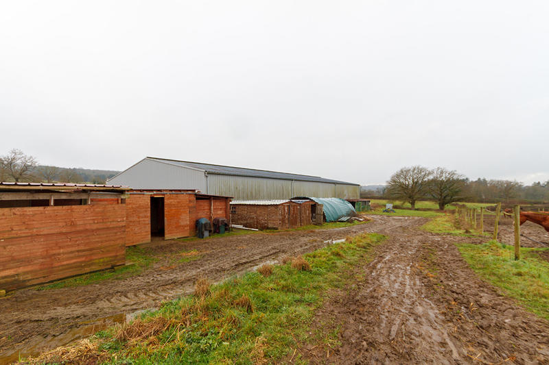 Maison de domaine équestre - 132 m² - 5 pièces