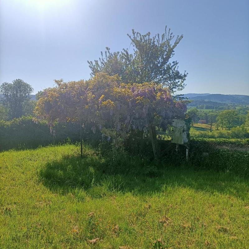 Propriété - 200 m² - 12 pièces