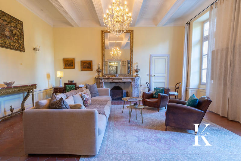 Château - 1 450 m² - 28 pièces