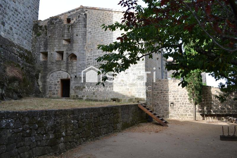 Château - 800 m² - 15 pièces