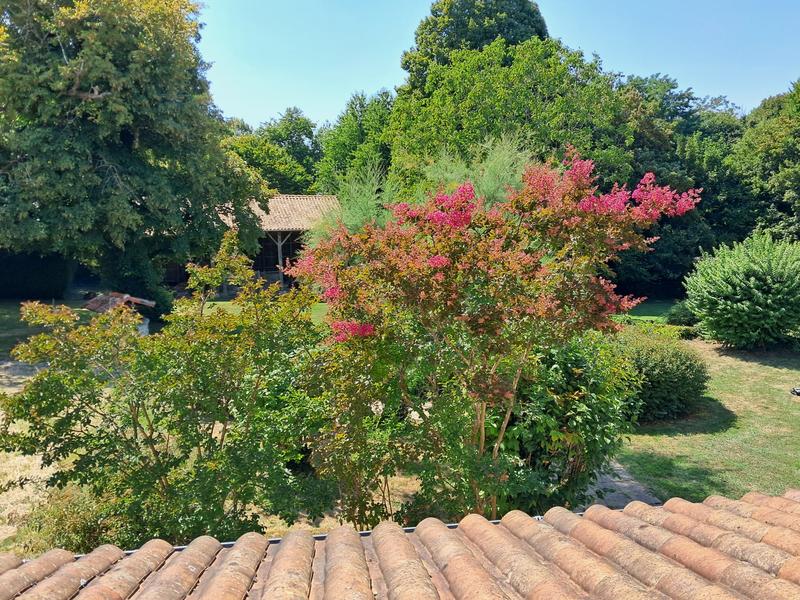 Maison - 222 m² - 5 pièces