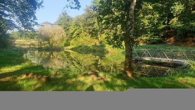 Terrain - 21 498 m²