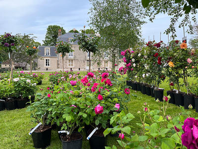 Week End Floral au Manoir du Ribardon