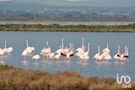 Local commercial - 145 m²