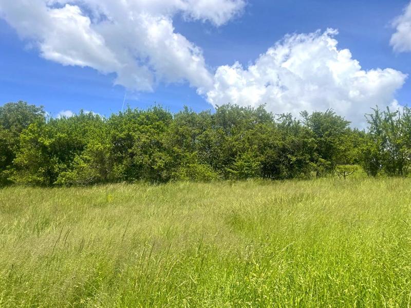 Terrain constructible - 989 m²