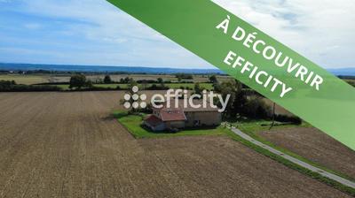 Ferme - 235 m² - 8 pièces