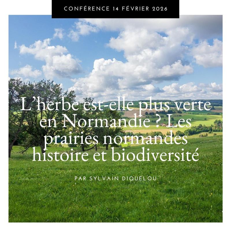 L’herbe est-elle plus verte en Normandie ? Les prairies normandes histoire et biodiversité