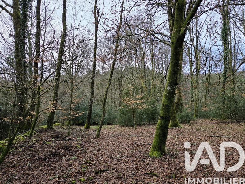 Maison de campagne - 122 m² - 5 pièces