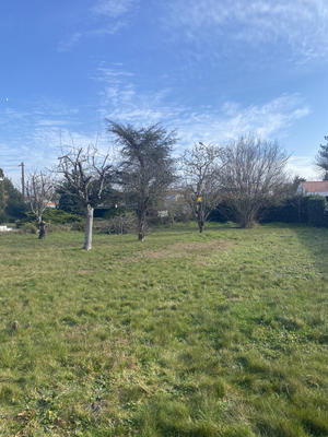 Terrain - 580 m²