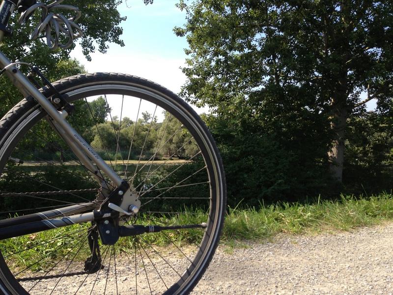 Les milieux rhénans en pédalant