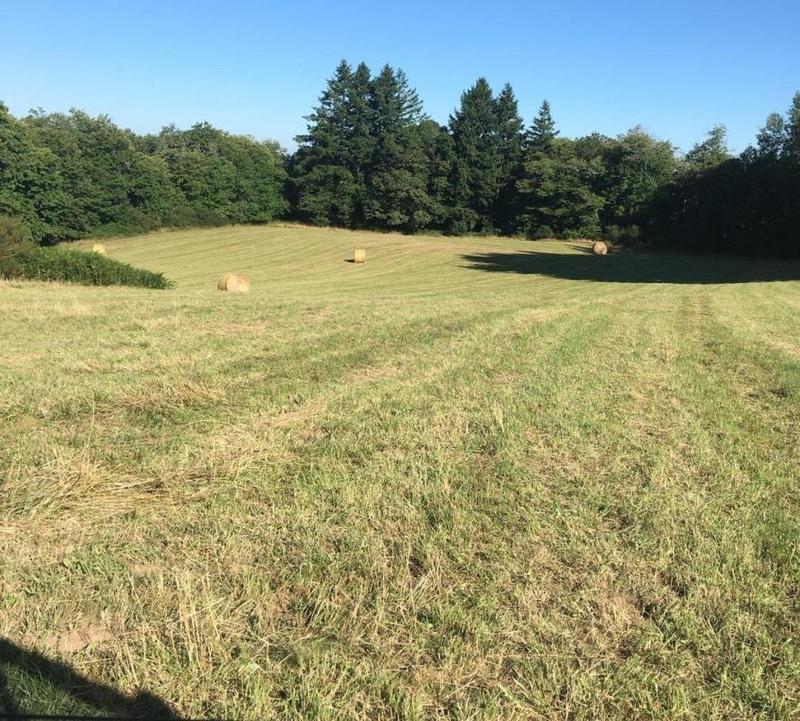 Corps de ferme - 110 m² - 5 pièces