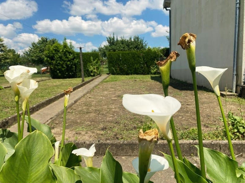 Maison - 80 m² - 5 pièces