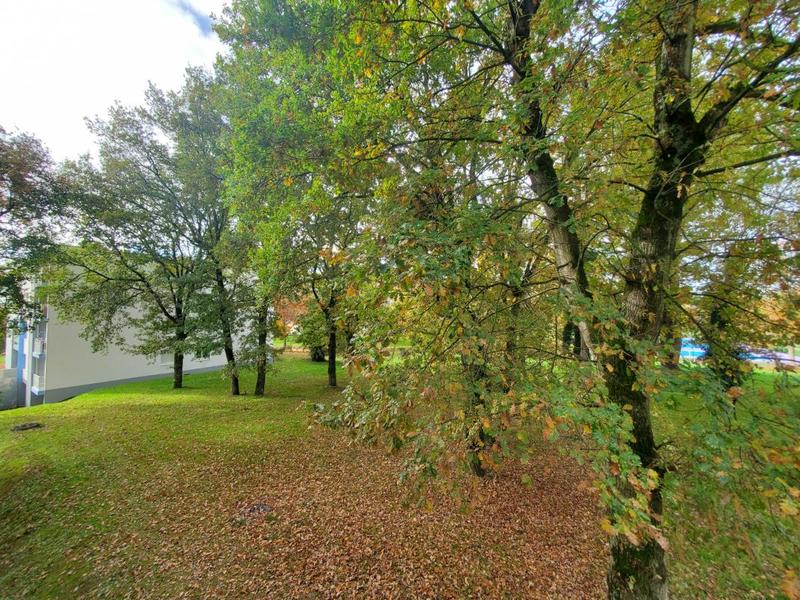 Appartement ancien - 47 m² - 2 pièces