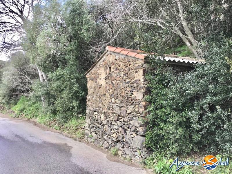 Terrain agricole - 4 000 m²