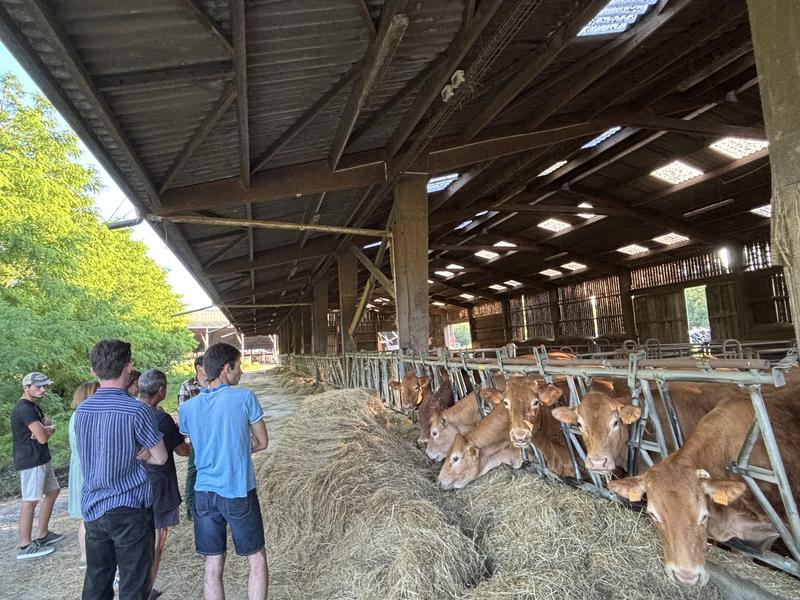 Les mercredis à la ferme